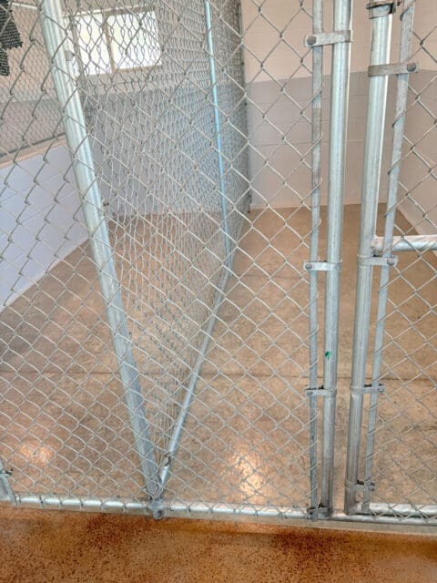 Kennel-Boarding