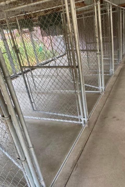 Large-Dog-Kennels-Open